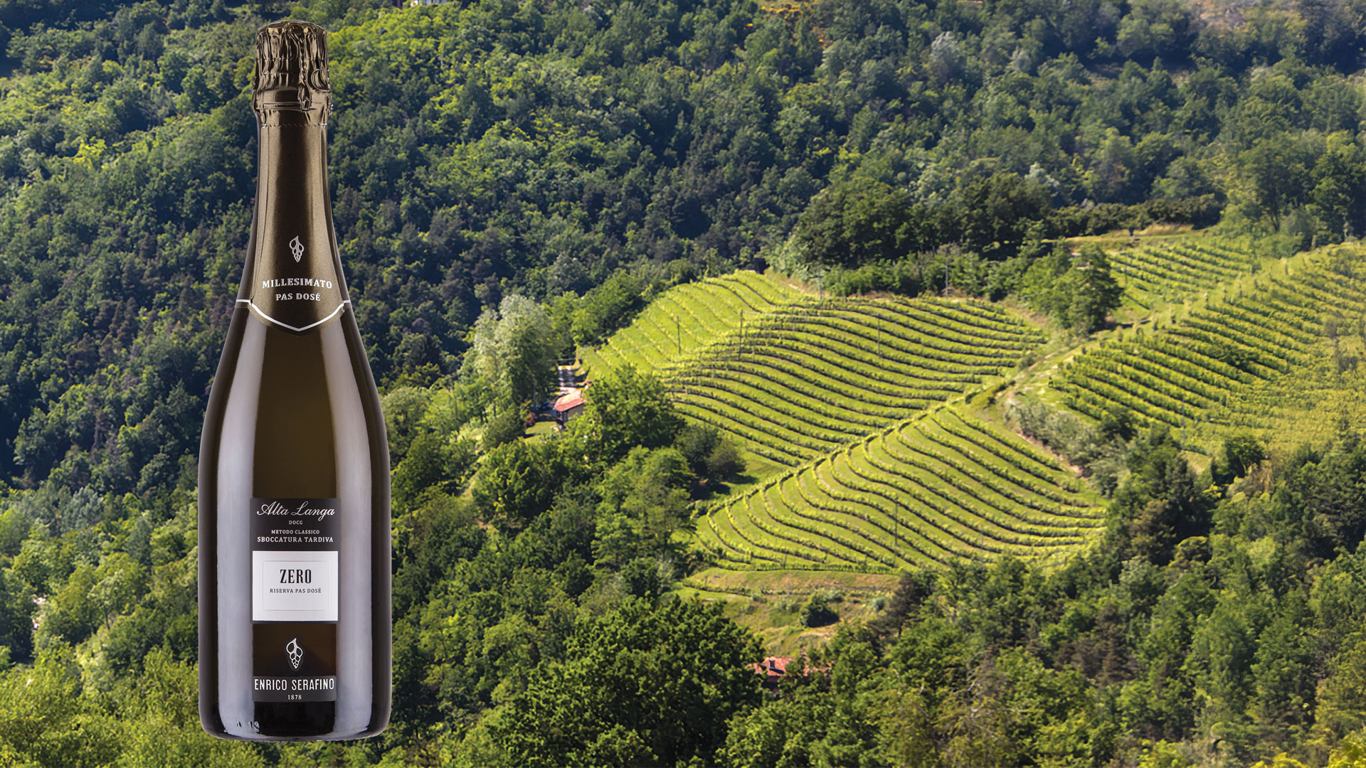 High Italian: Alta Langa’s reputation for producing some of the best bubbles outside of Champagne is rising