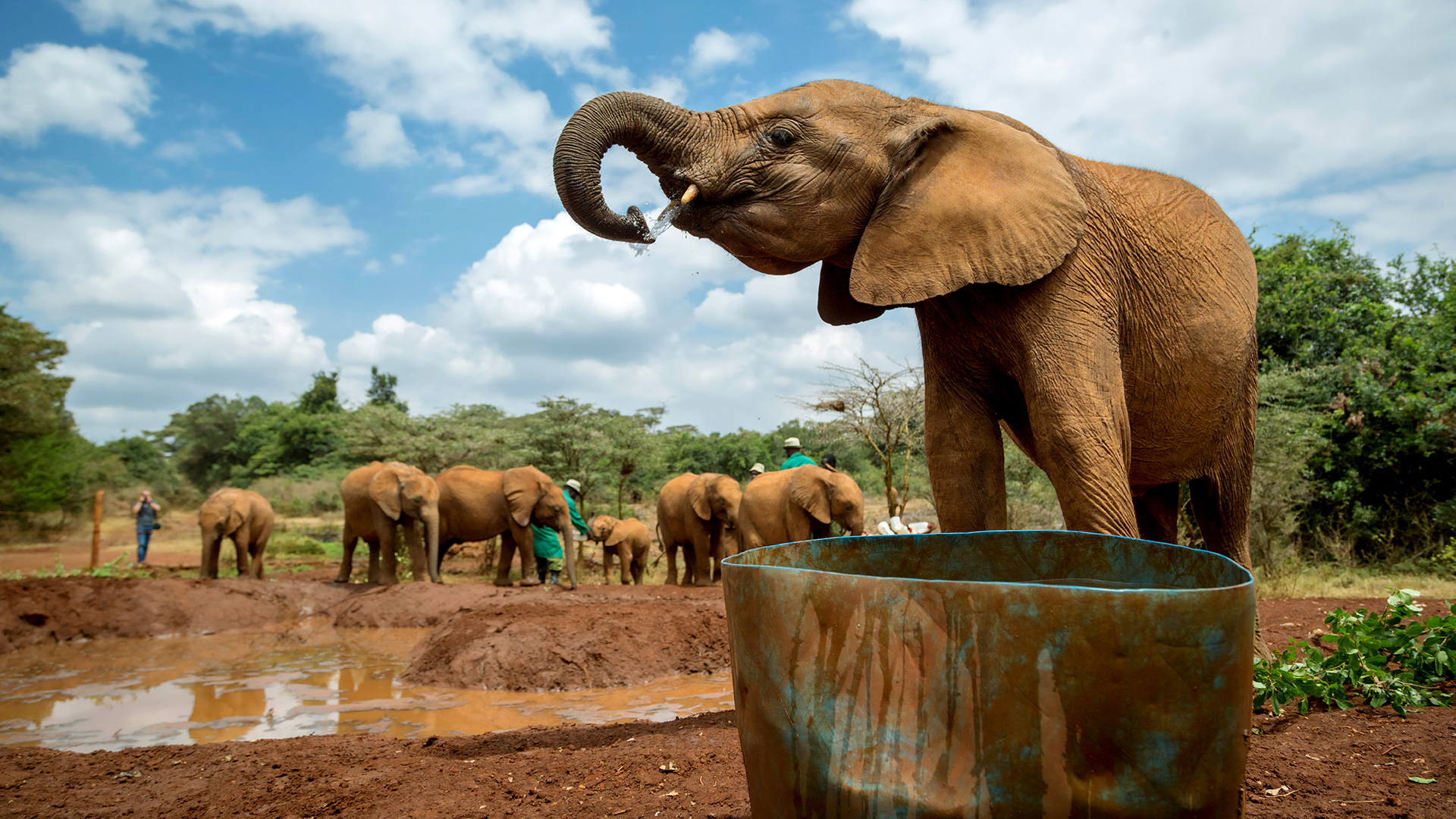 Kenya Best: From cultural melting pot to wild-animal magic, Nairobi is a welcoming city of cool contrasts 