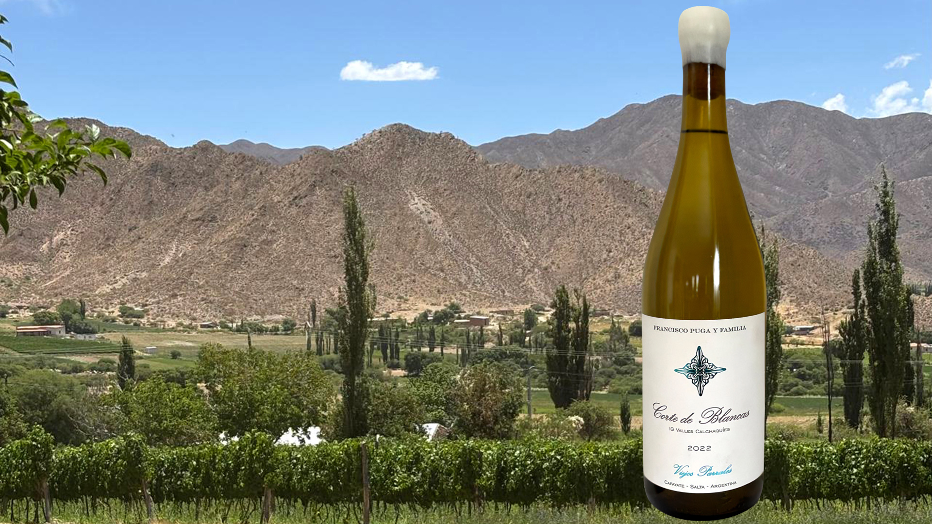 Andes Aromas:Wines from Argentina’s high-altitude heaven come to earth with fresh fruit and minerality