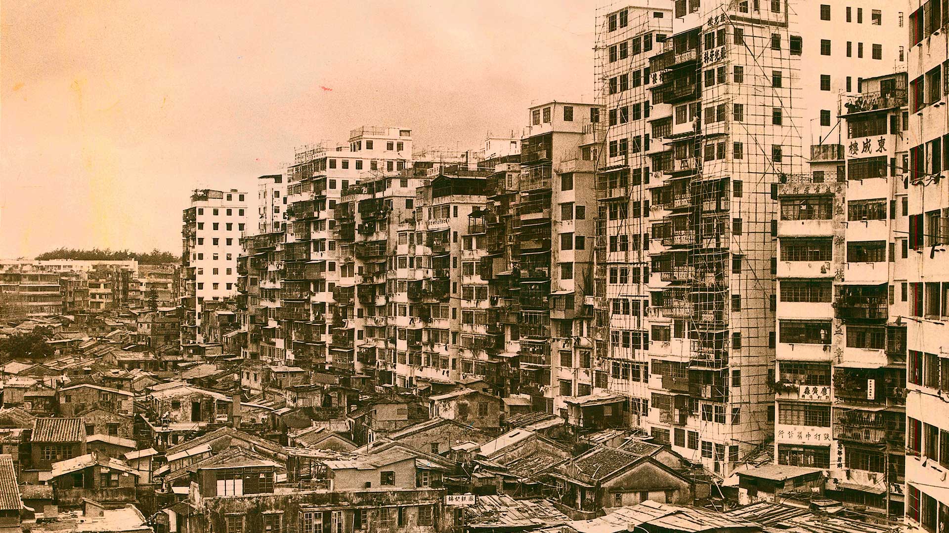 Call of the Walls: Flowers have replaced Kowloon Walled City’s darkness, yet a sense of loss lingers
