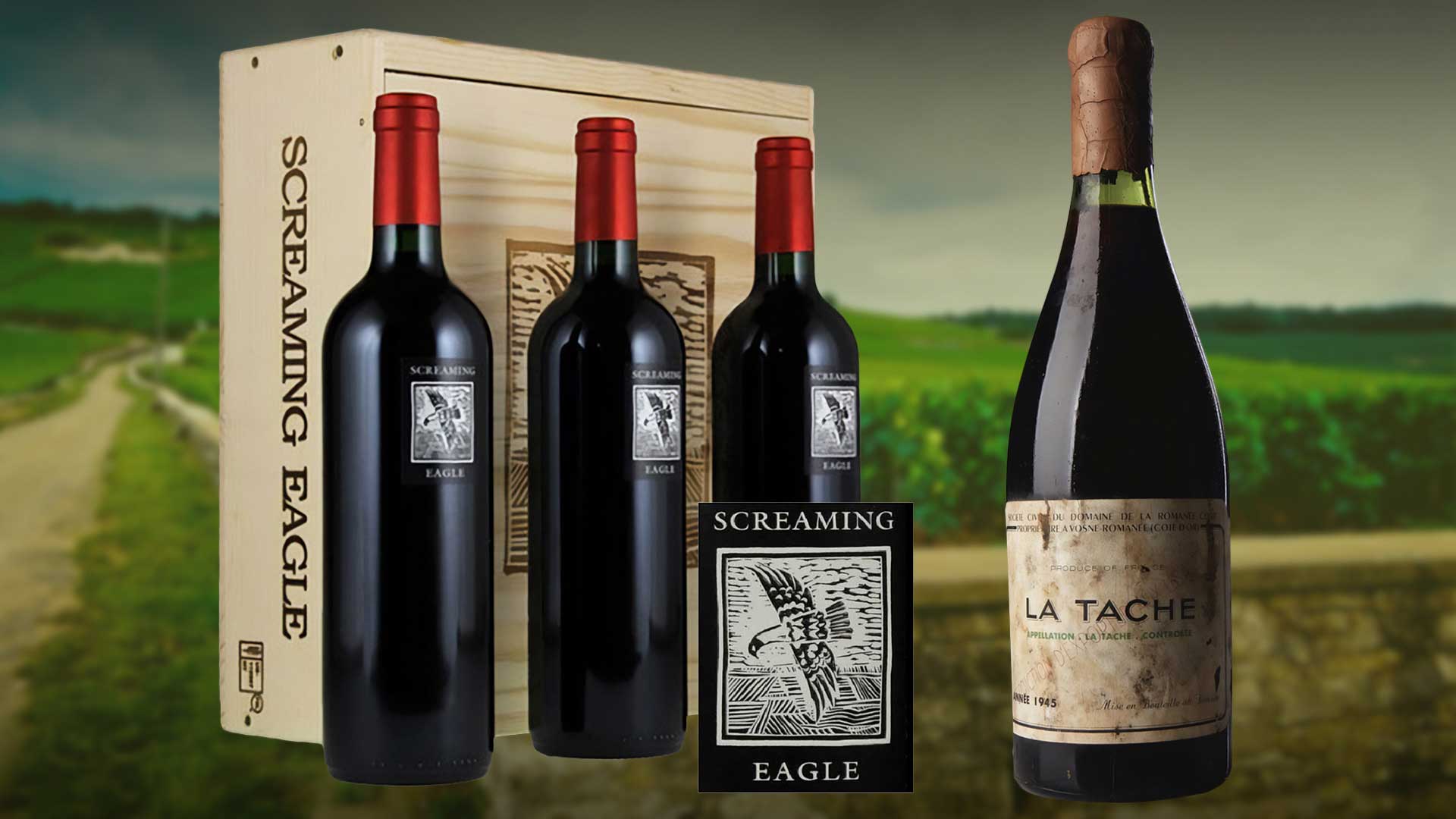 Vintage Variables: The investment-worthy wines making a splash in the current climate